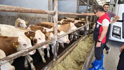 Orhaneli'de hayvancılık denetimleri titizlikle gerçekleştirildi. Gelişmeler ve detaylar için bilgi