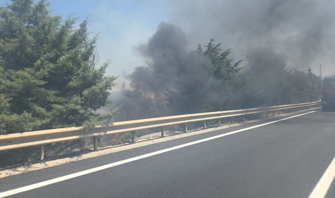Orhangazi'de ağaçlık alanda çıkan yangın, itfaiye ekiplerince kontrol altına alınmaya