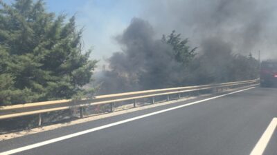 Orhangazi'de ağaçlık alanda çıkan yangın, itfaiye ekiplerince kontrol altına alınmaya