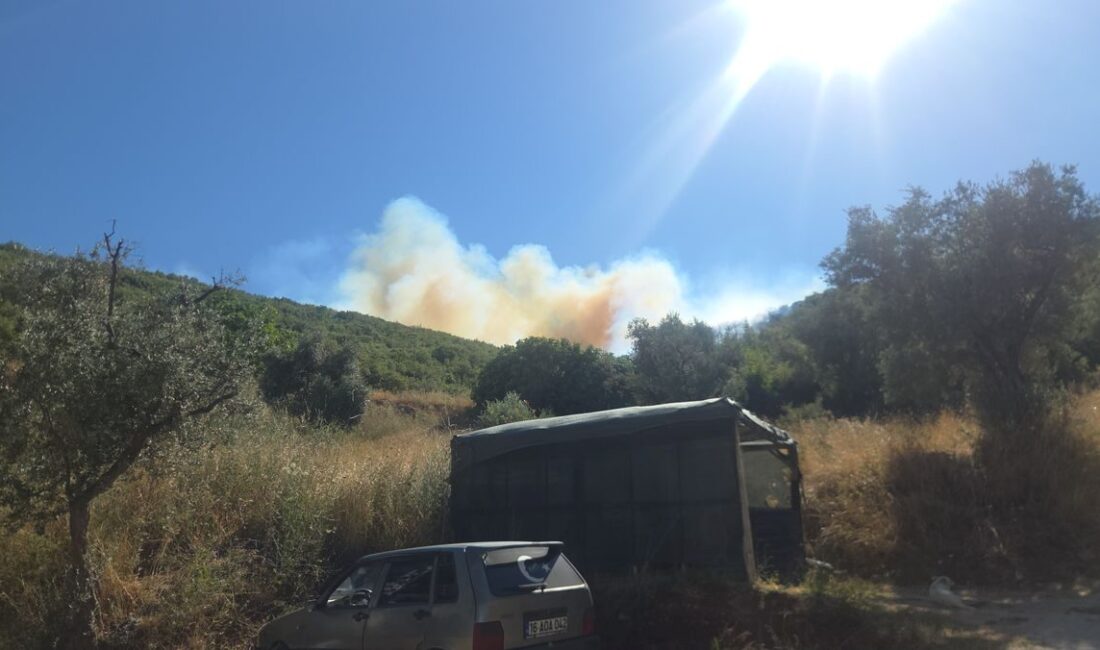 Orhangazi'de makilik alanda çıkan yangın, bölge ekosistemine ve yerel yaşam