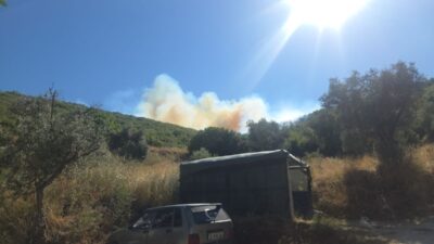 Orhangazi'de makilik alanda çıkan yangın, bölge ekosistemine ve yerel yaşam