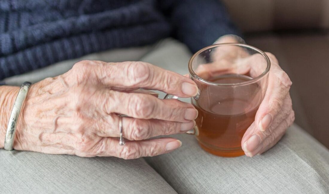 Uzun ömrün sırları bilimsel araştırmalarla güncelleniyor. Sağlıklı yaşam ve yaşlanmayı