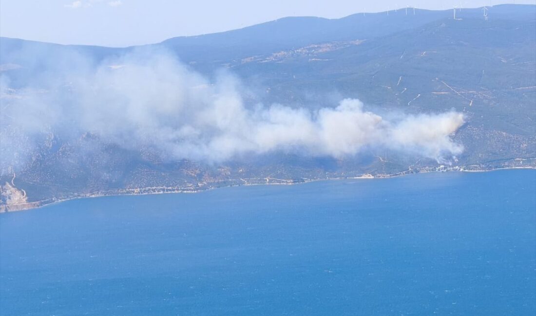 Yalova Armutlu'daki orman yangını kontrol altına alınmak üzere olup, olayla