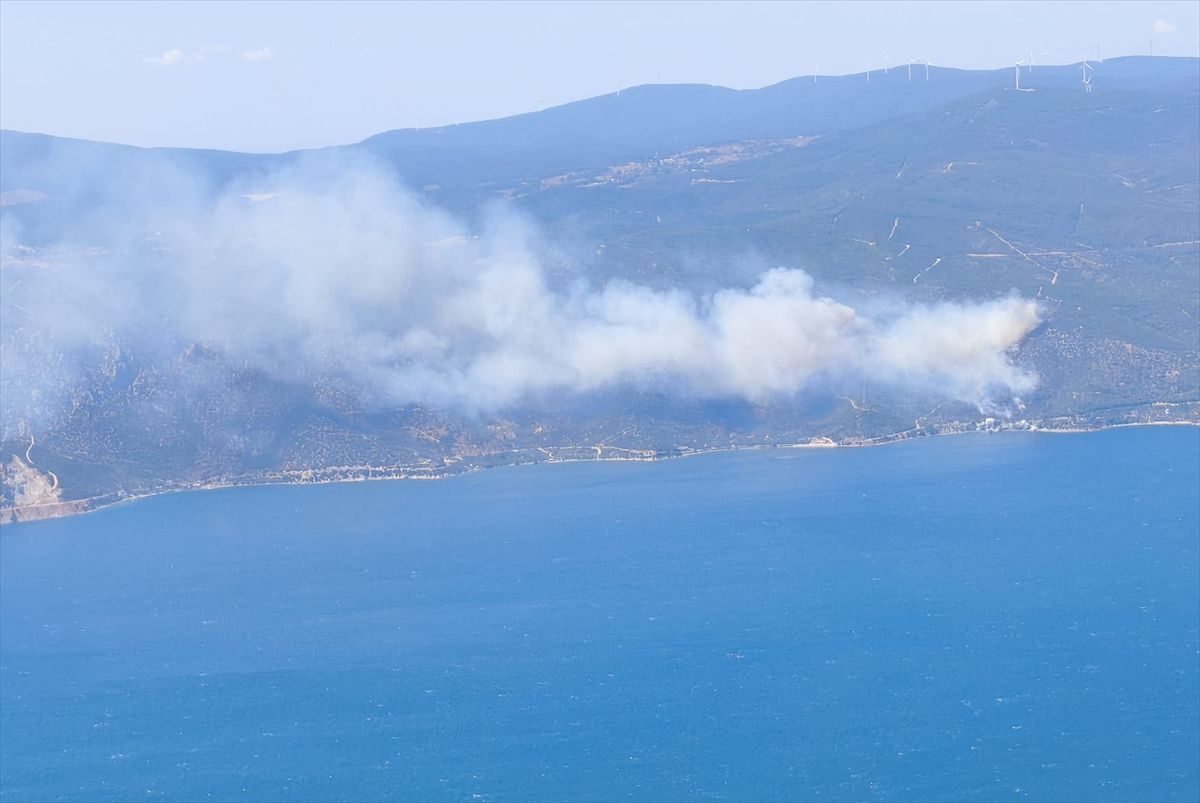 Yalova Armutlu'daki orman yangını kontrol altına alınmak üzere olup, olayla