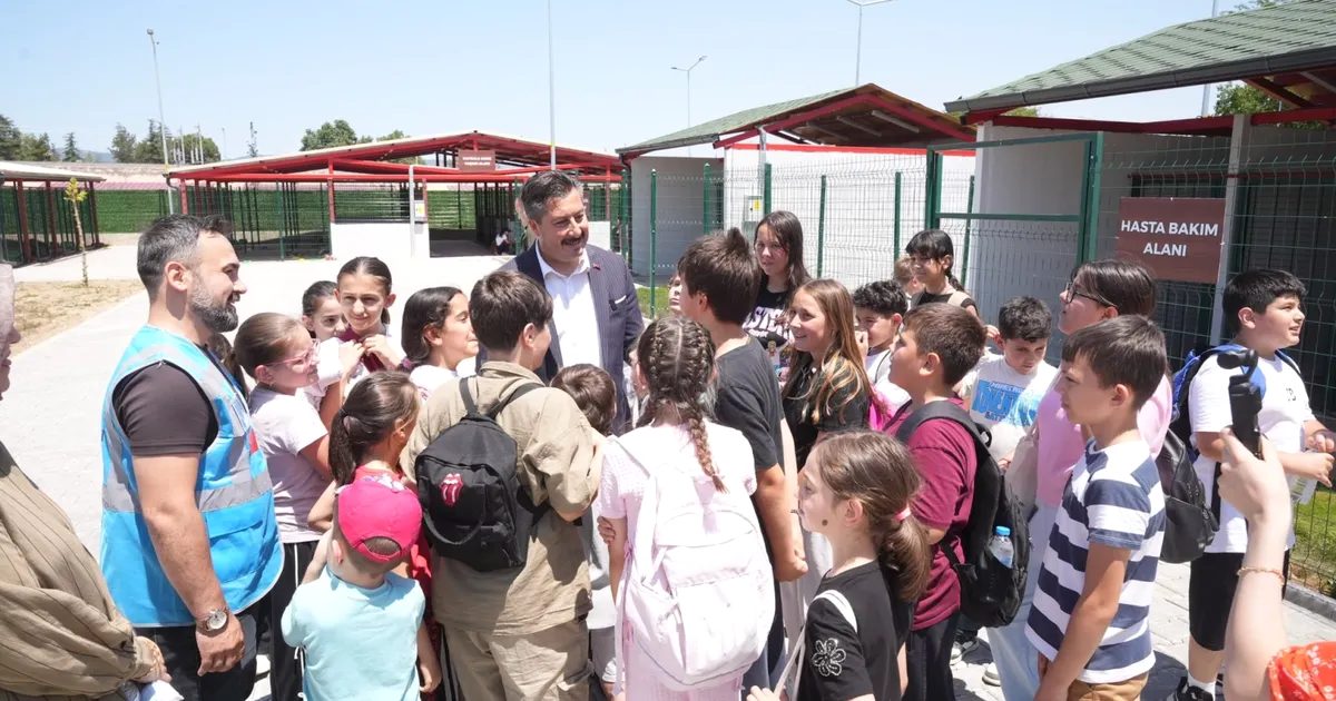 Yenişehir’de çocuklara hayvan sevgisi ve sorumluluk bilincini kazandıran eğitim programlarımız