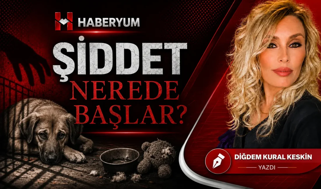 Bir psikopat doğduğu gün psikopat değildir. Bazen hikâye çok daha