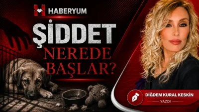 Bir psikopat doğduğu gün psikopat değildir. Bazen hikâye çok daha