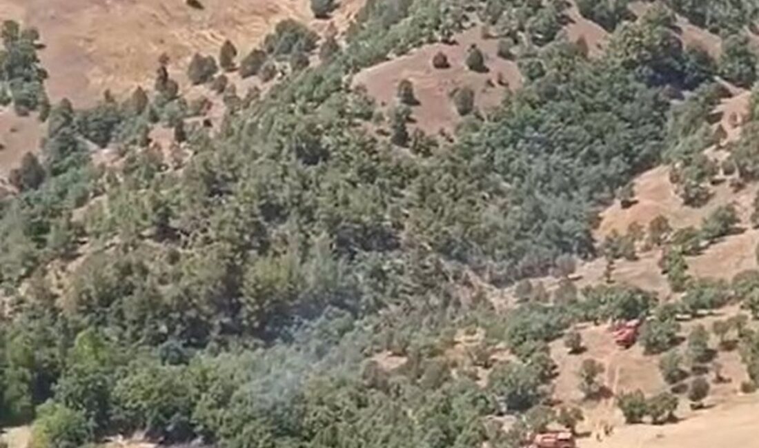 Bursa Büyükorhan'daki orman yangını kontrollü altına alınmıştır. Yetkililer, yangının söndürülmesi