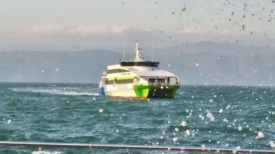 Bursa Deniz Otobüsleri, hava koşullarındaki olumsuzluklar nedeniyle seferlerini iptal etmiştir.
