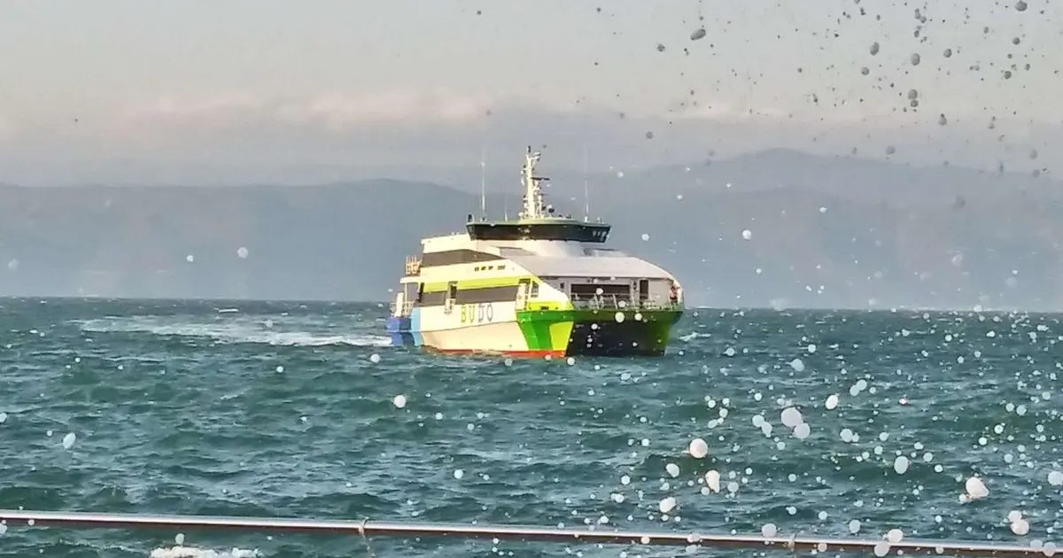 Bursa Deniz Otobüsleri, hava koşullarındaki olumsuzluklar nedeniyle seferlerini iptal etmiştir.