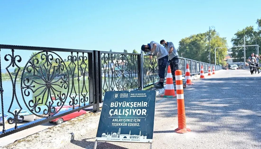 Bursa Gölyazı'da yürütülen temizlik çalışmaları, çevre koruma ve sürdürülebilirlik amaçlarıyla
