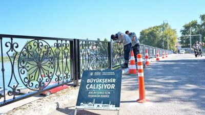 Bursa Gölyazı'da yürütülen temizlik çalışmaları, çevre koruma ve sürdürülebilirlik amaçlarıyla