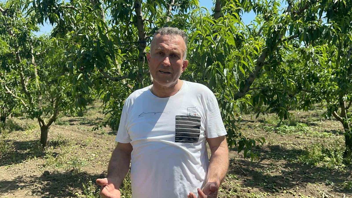 Bursa Gürsu'da Mezopotamya'nın köklü gübre inovasyonlarıyla sürdürülebilir tarım ve verim