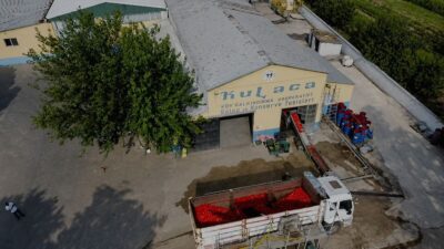 İnegöl'lerde salça sezonu başladı. Kaliteli ve doğal ürünler için en