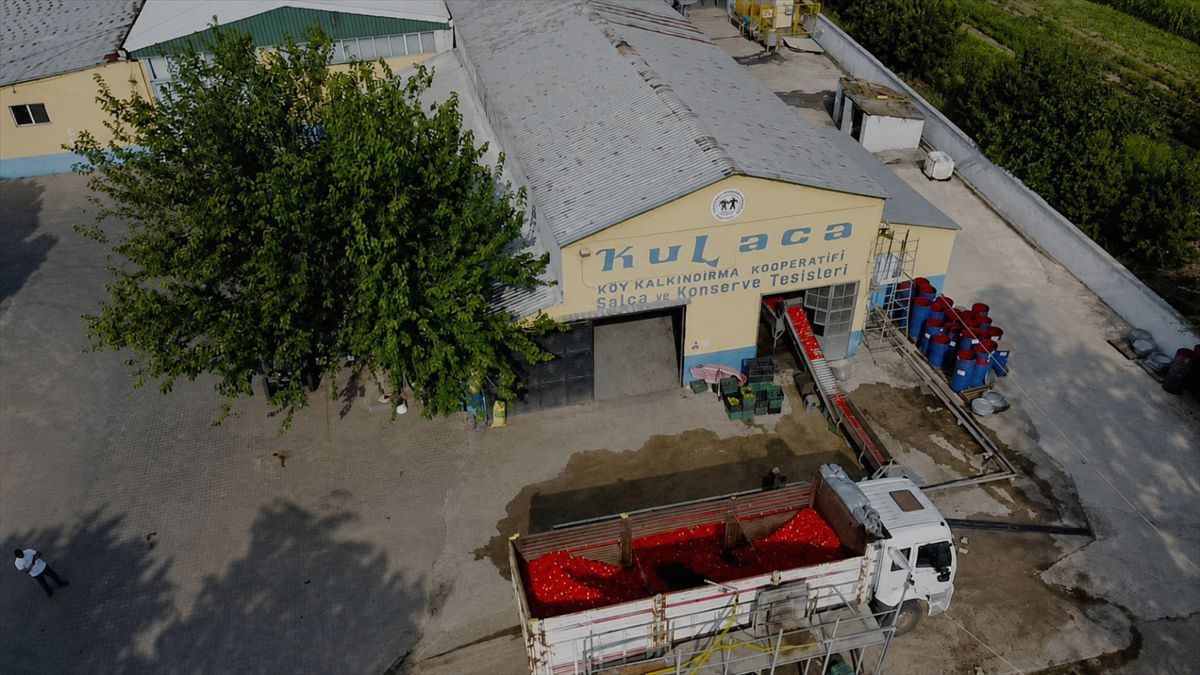 İnegöl'lerde salça sezonu başladı. Kaliteli ve doğal ürünler için en