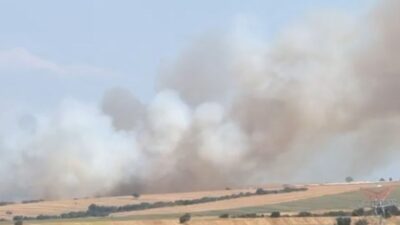 Bursa Karacabey'de maki yangını kontrol altına alındı. Yetkililer olayla ilgili