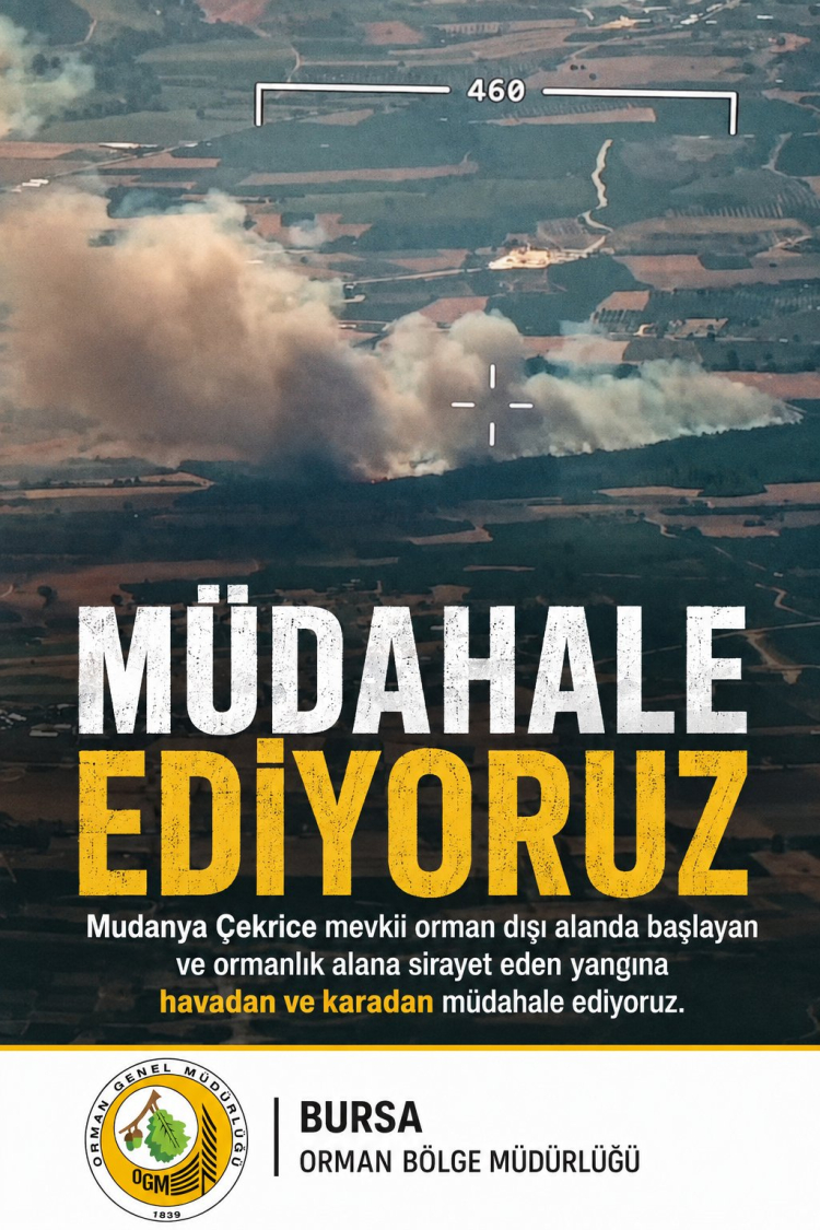 Bursa Mudanya'da Orman Dışı Yangın