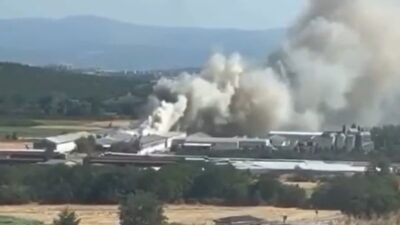 Bursa Mudanya'da tavuk çiftliği yangınıyla ilgili detaylar, nedenleri ve müdahale
