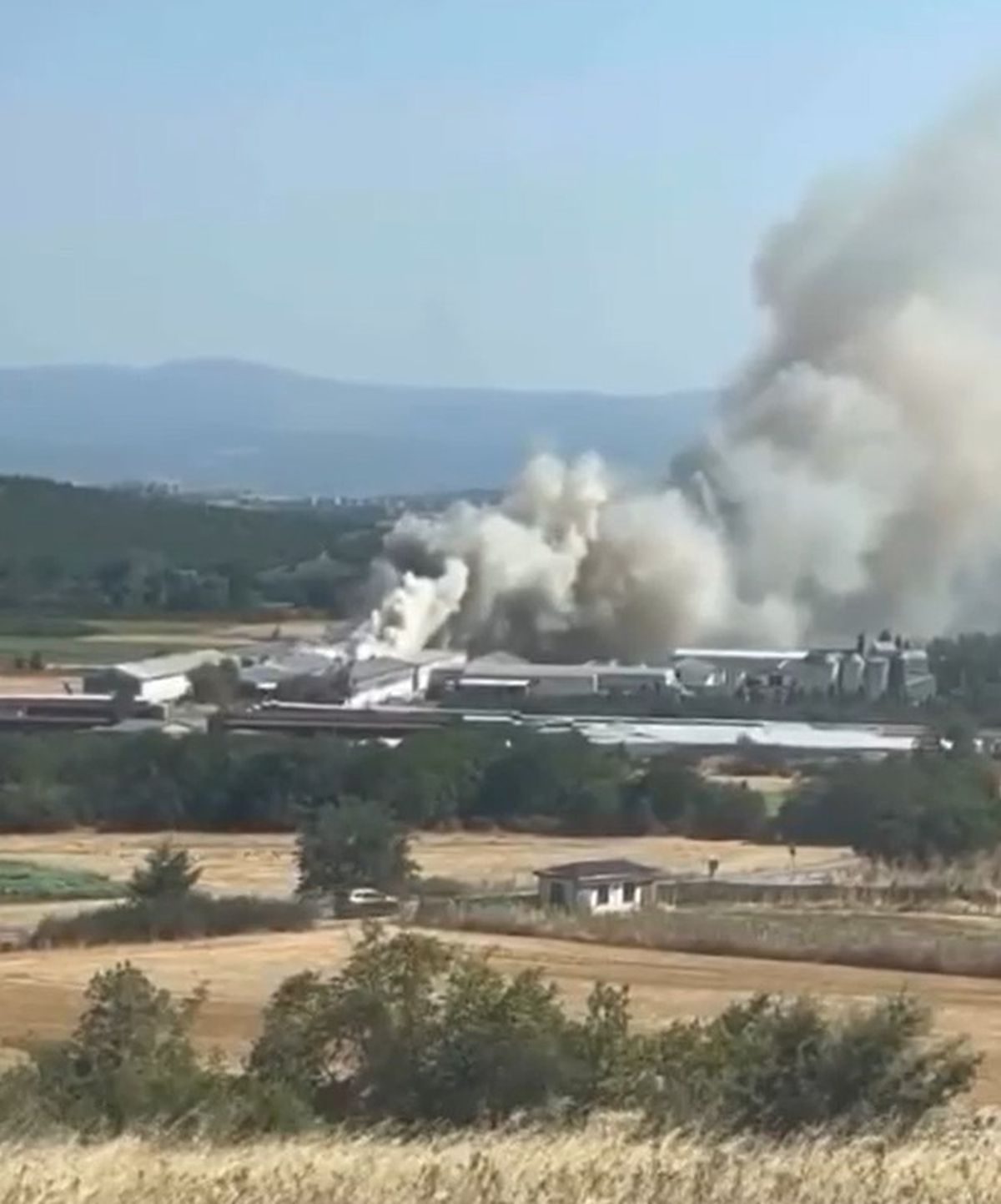 Bursa Mudanya'da tavuk çiftliği yangınıyla ilgili detaylar, nedenleri ve müdahale