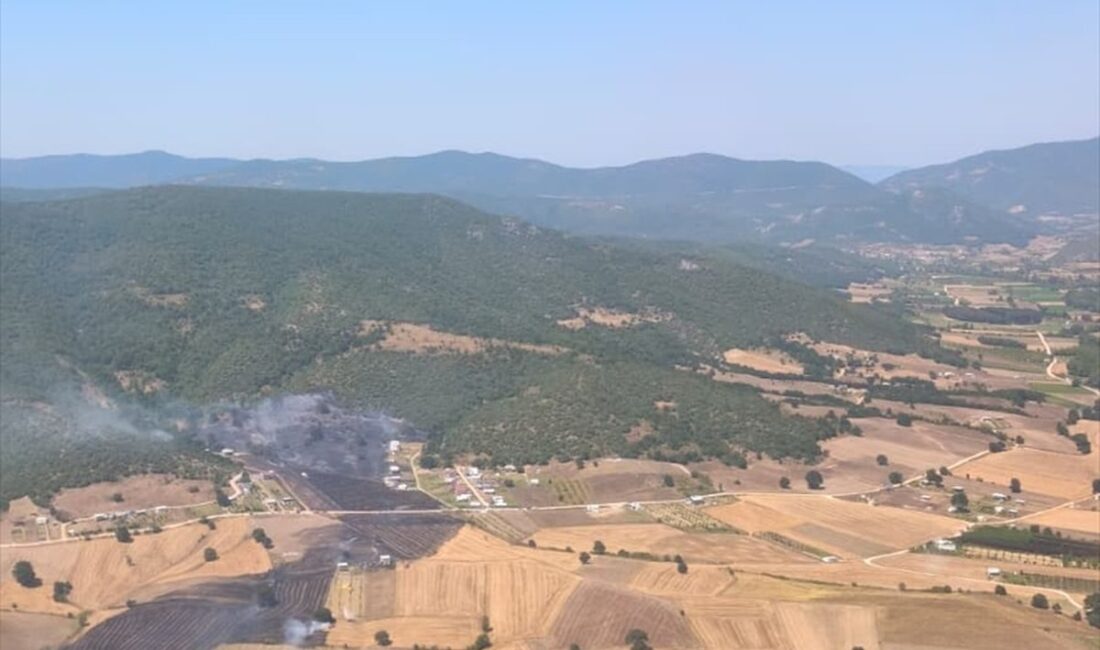 Bursa Yenişehir'deki orman yangını kontrol altına alındı. Vatandaşlar, yangınla mücadelede
