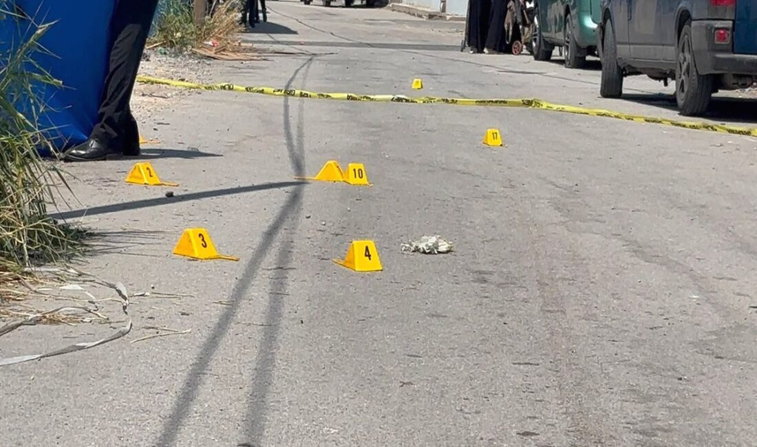 Bursa'da aile içi kanlı cinayet olayıyla ilgili detaylar, nedenleri ve