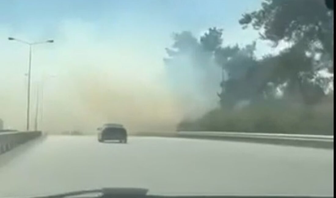 Bursa'da çıkan anız yangını kontrol altına alındı. Yetkililer, yangının yayılmasını