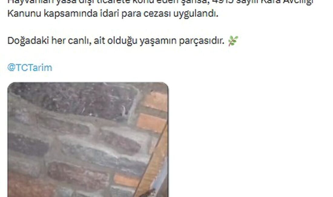 Bursa'da doğa muhafazası çalışmaları artarken, çevre bilincinin güçlendirilmesi ve sürdürülebilirlik