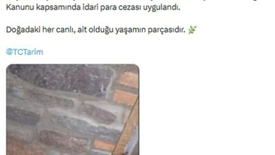 Bursa'da doğa muhafazası çalışmaları artarken, çevre bilincinin güçlendirilmesi ve sürdürülebilirlik