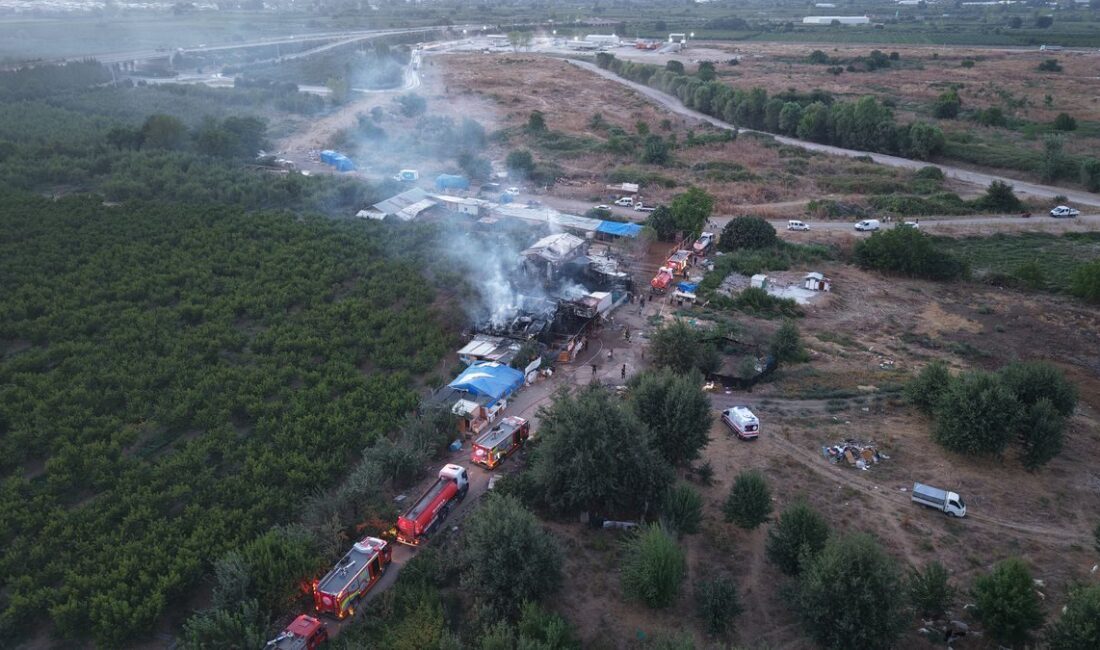 Bursa'da bir hayvan çiftliğinde meydana gelen yangın, yangın söndürme çalışmaları