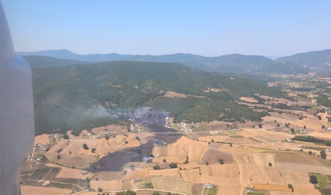 Bursa'da kırsal alanda çıkan yangın kontrol altına alındı. İtfaiye ve