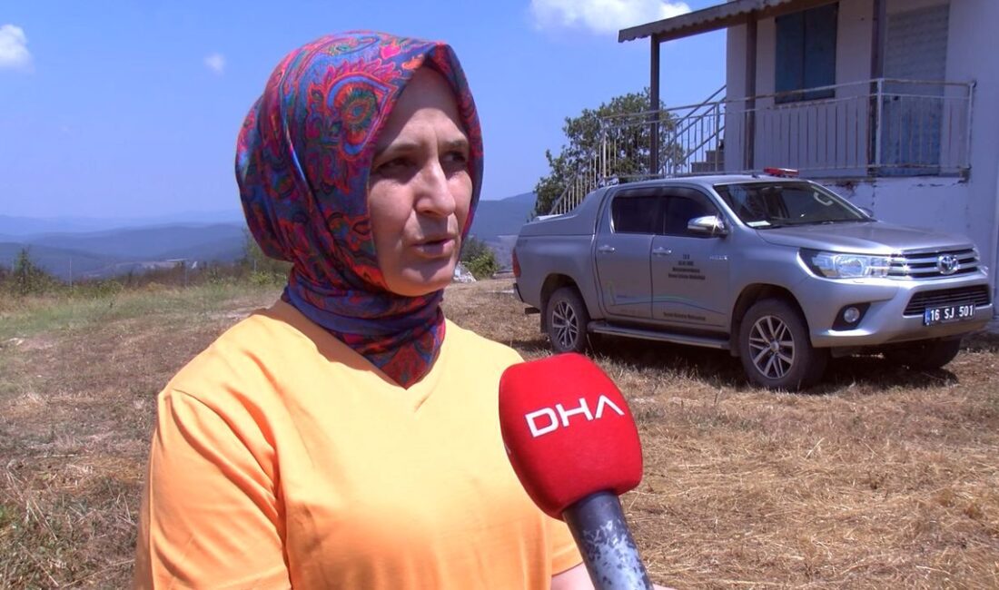 Bursa'da orman gözetleme kulelerinde çiftlerin görev başında olduğu anlar, doğa