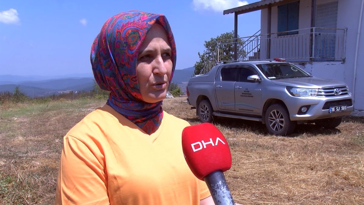 Bursa'da orman gözetleme kulelerinde çiftlerin görev başında olduğu anlar, doğa