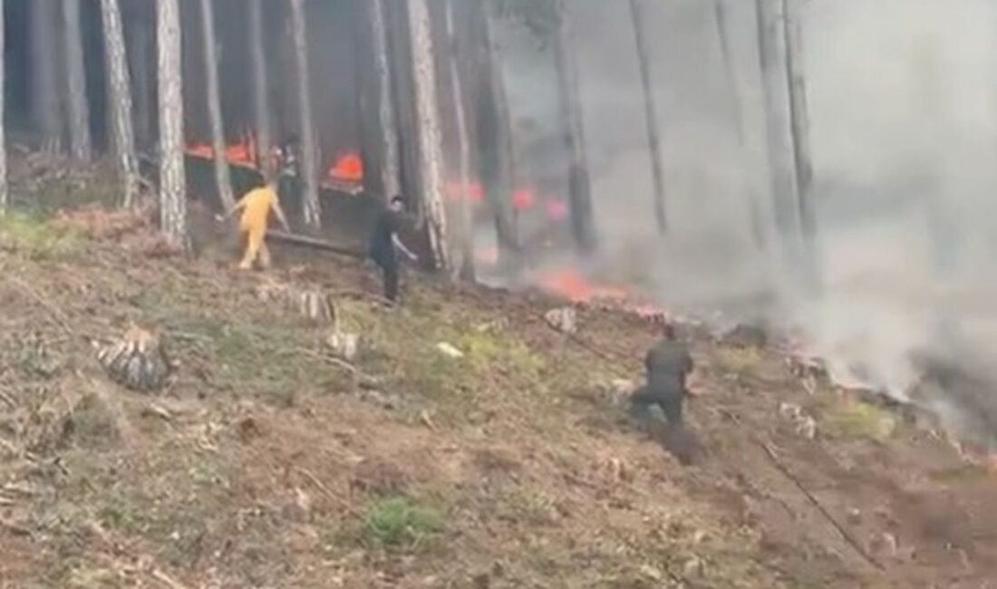 Bursa'da çıkan orman yangını kontrol altına alınmış olup, söndürme çalışmaları
