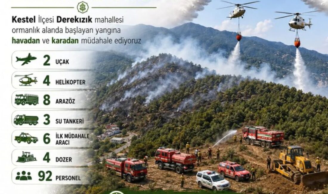 Bursa'da orman yangınına büyük çaplı müdahale sürüyor. Uzman ekipler, yangını