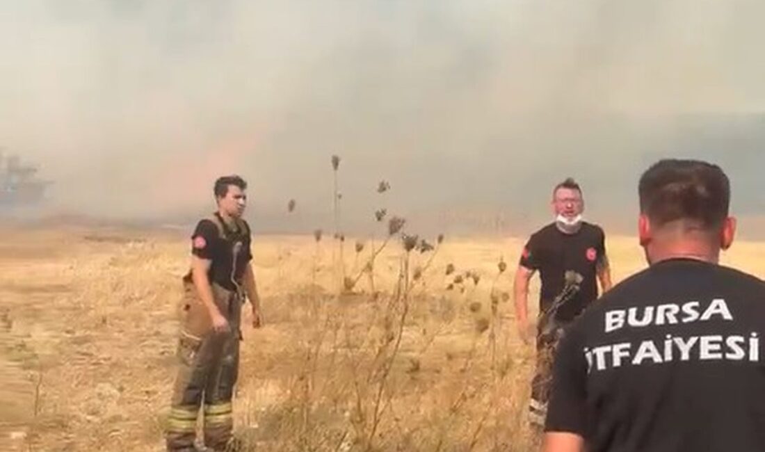 Bursa'da orman yangınına HEPAD gönüllüleri hızlı ve etkili müdahalesi ile