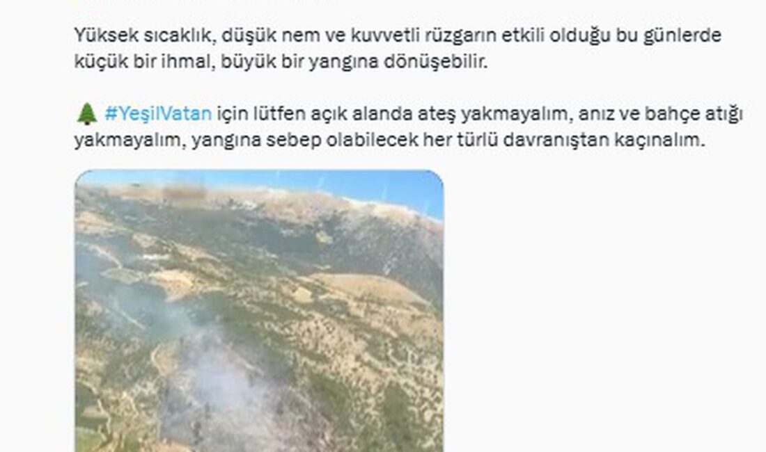 Bursa'daki orman yangınları kontrol altına alınmış ve söndürme çalışmaları başarıyla