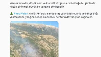 Bursa'daki orman yangınları kontrol altına alınmış ve söndürme çalışmaları başarıyla