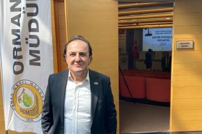 Bursa'da Orman Yangınları ve Ekonomik Etkileri