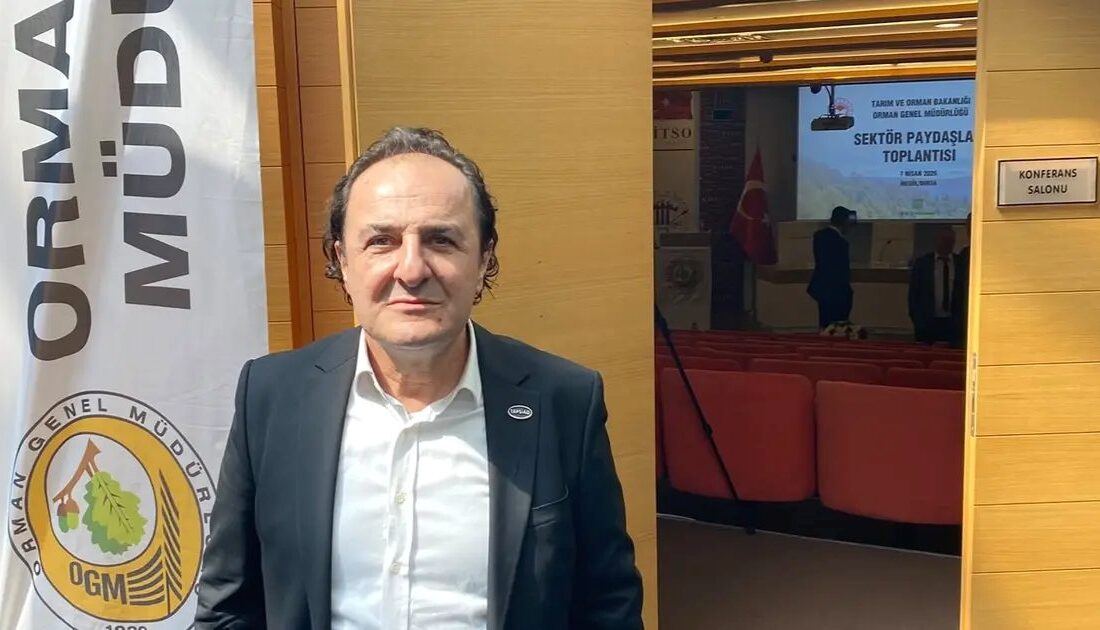 Bursa'da orman yangınlarının ekonomik etkileri, nedenleri ve alınan önlemler üzerine