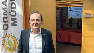 Bursa'da orman yangınlarının ekonomik etkileri, nedenleri ve alınan önlemler üzerine