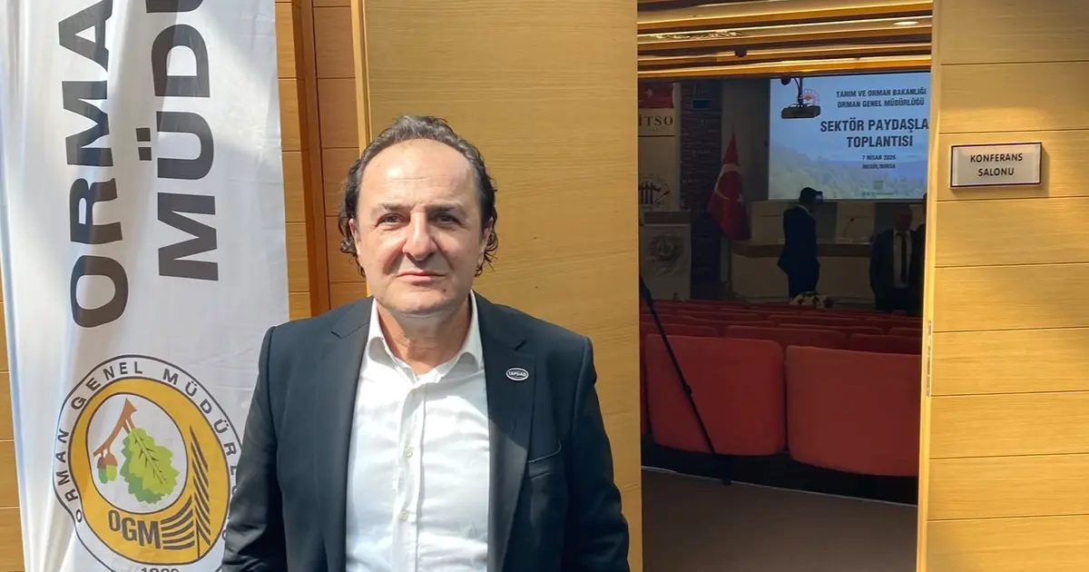 Bursa'da orman yangınlarının ekonomik etkileri, nedenleri ve alınan önlemler üzerine