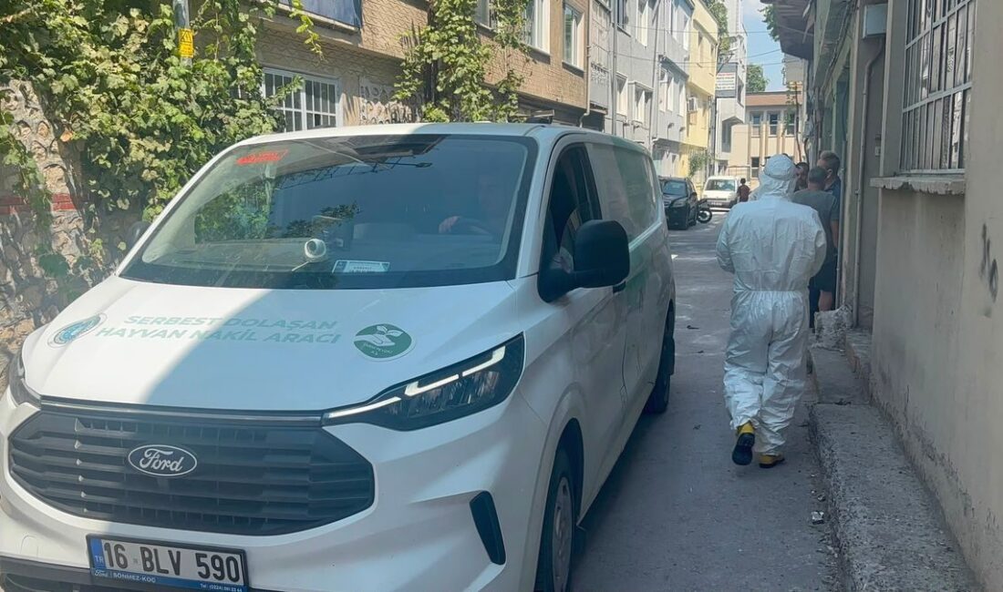Bursa'da hayvanların sağlıksız koşullarda bulunduğu tespit edildi. Konuyla ilgili detaylar