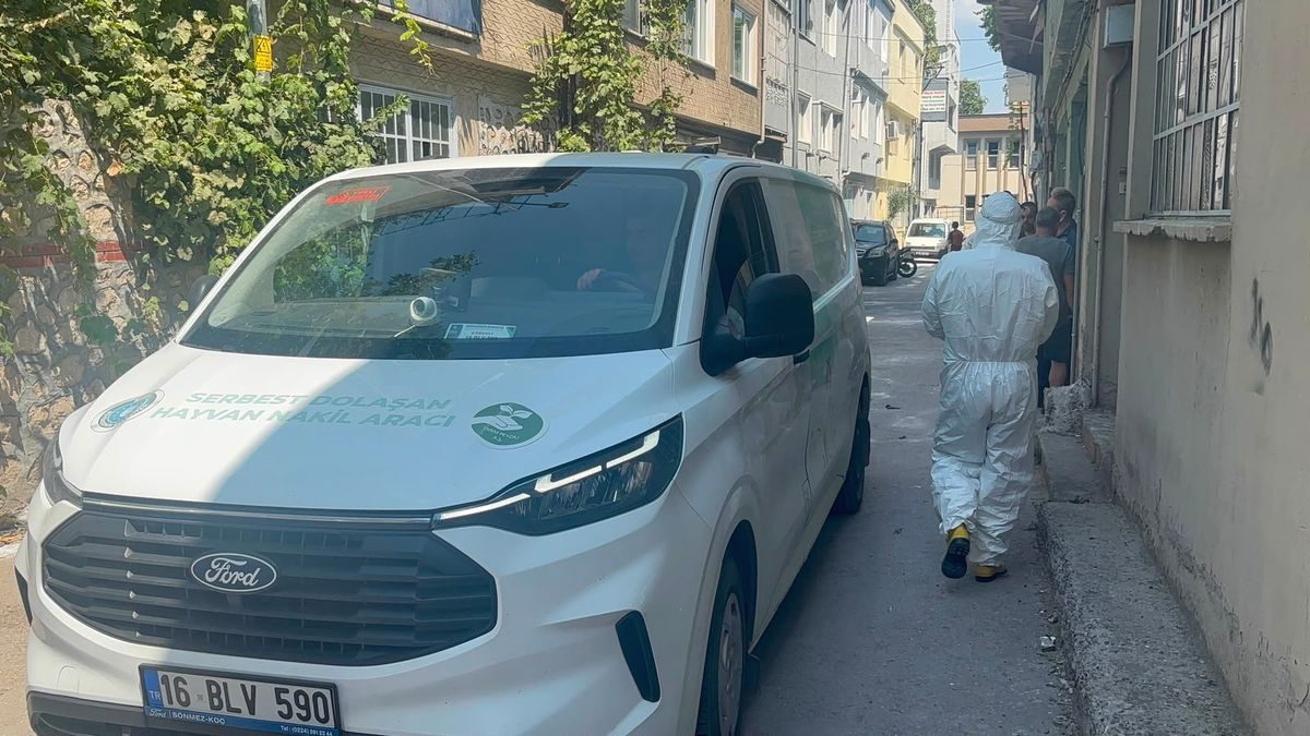 Bursa'da hayvanların sağlıksız koşullarda bulunduğu tespit edildi. Konuyla ilgili detaylar