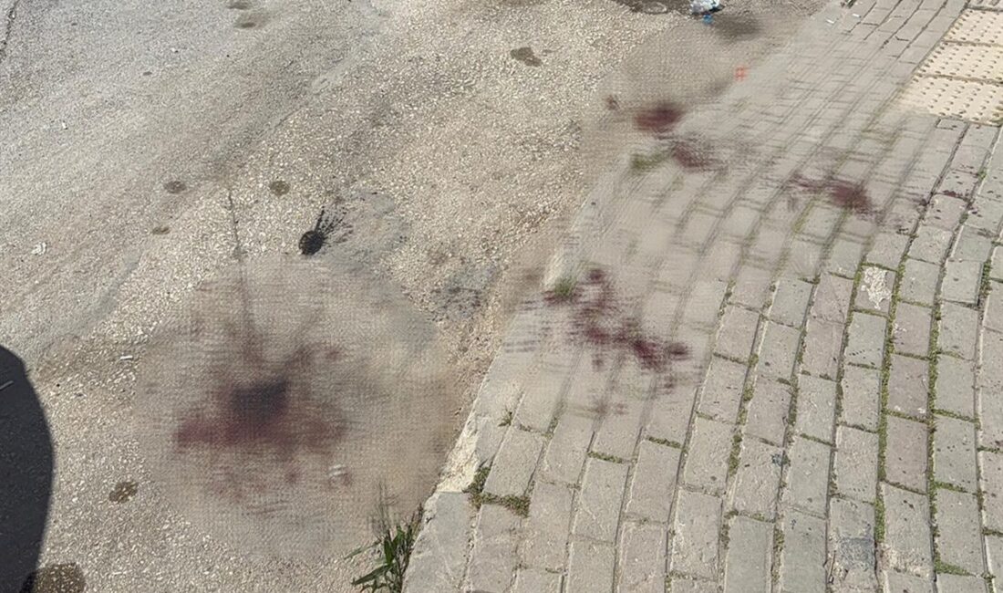 Bursa'da sosyal medya katliamı şüphelisinin tahliyesiyla ilgili gelişmeler, hukuki süreç