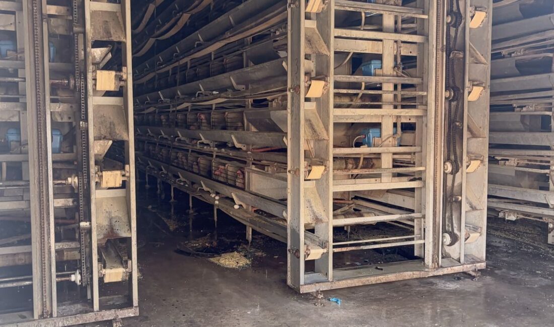 Bursa'da tavuk çiftliğinde çıkan yangın olayını detaylarıyla ve güncel bilgileriyle