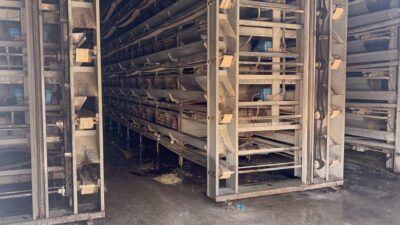 Bursa'da tavuk çiftliğinde çıkan yangın olayını detaylarıyla ve güncel bilgileriyle