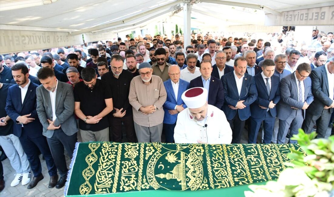 Bursa'da meydana gelen trafik kazasında bir sürücü hayatını kaybetti. Olayla