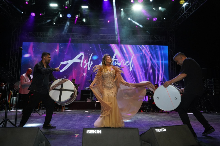Bursa'da Uluslararası Sanat Festivali Coşkusu