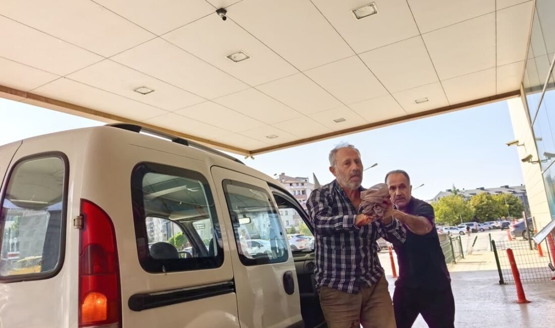 İnegöl'de gerçekleşen ahşap kesim kazası hakkında detaylı bilgiler, olayın sebepleri