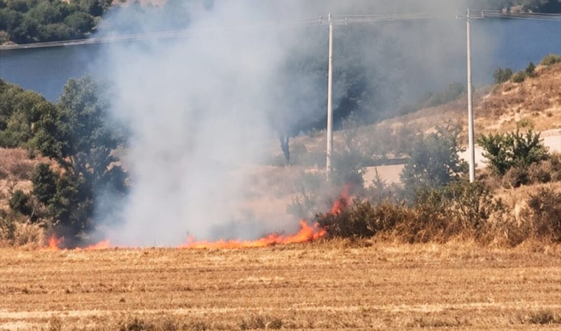 İnegöl'de arazide çıkan yangınla ilgili şüpheli yakalandı. Güvenlik güçlerinin başarılı